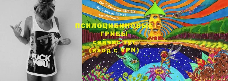 Галлюциногенные грибы MAGIC MUSHROOMS  купить   Звенигово 